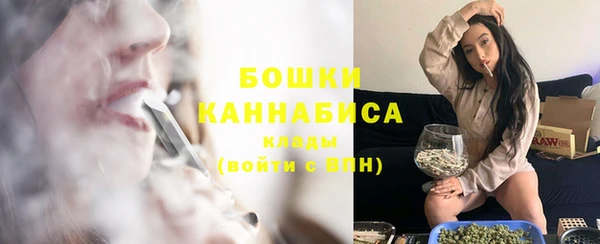 гашик Белокуриха