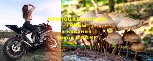 марки lsd Белоозёрский