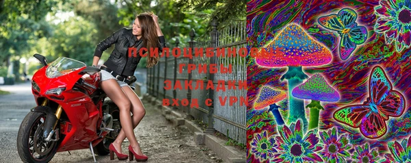 марки lsd Белоозёрский