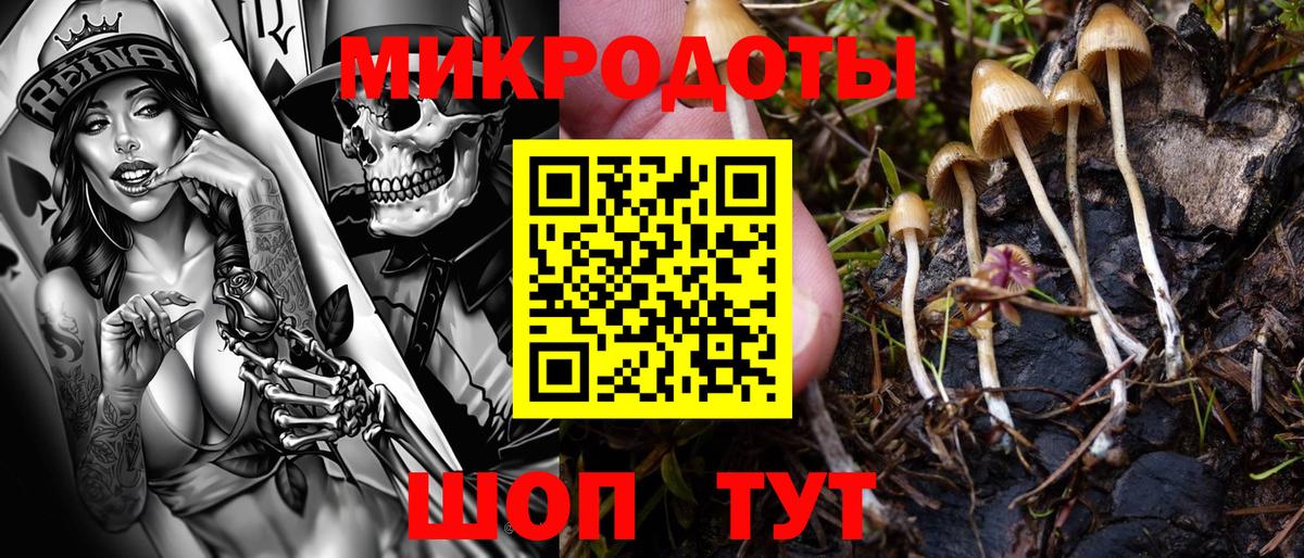 Галлюциногенные грибы Psilocybine cubensis  Вход с VPN  Псилоцибиновые грибы GOLDEN TEACHER  Улан-Удэ 